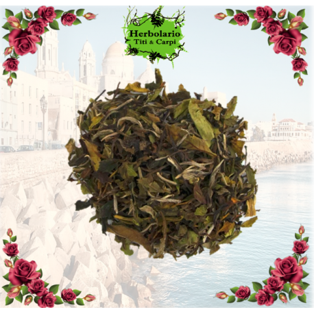 Té Blanco Pai Mu Tan