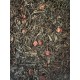Té sueños gaditanos-Té champán con fresas