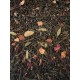 Té aromas de cádiz