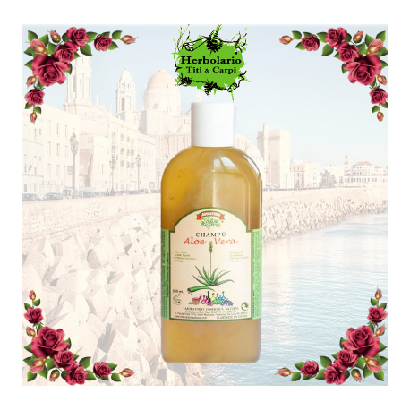 CHAMPU ALOE VERA