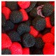 MORAS