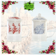 TAZA CORAL 300ML