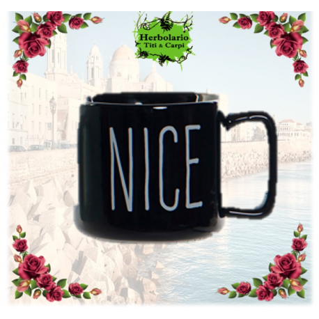MUG PORCELANA NEW BONE 330ML